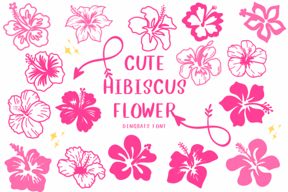Cute Hibiscus Flower Font for Handmade Creations